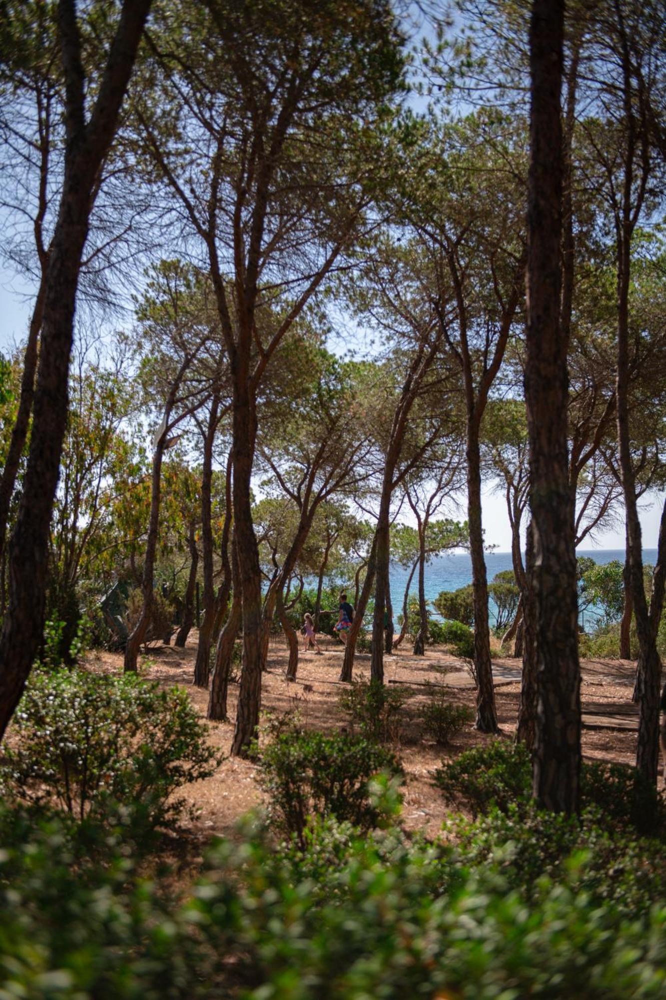 Hotel Amareclub Rocca Dorada Santa Margherita di Pula Zewnętrze zdjęcie